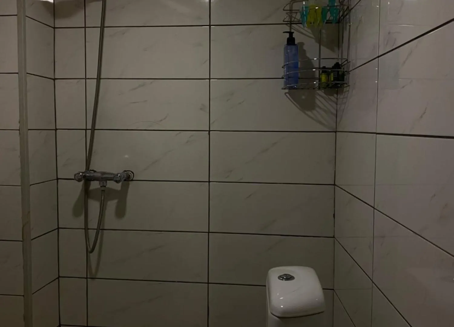 Cozy Basement Apartment Tbilisi